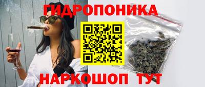 стаф Донецк