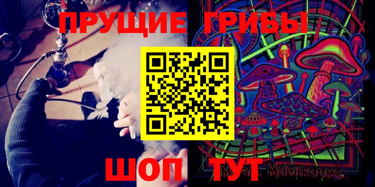 Псилоцибиновые грибы Psilocybine cubensis Луга