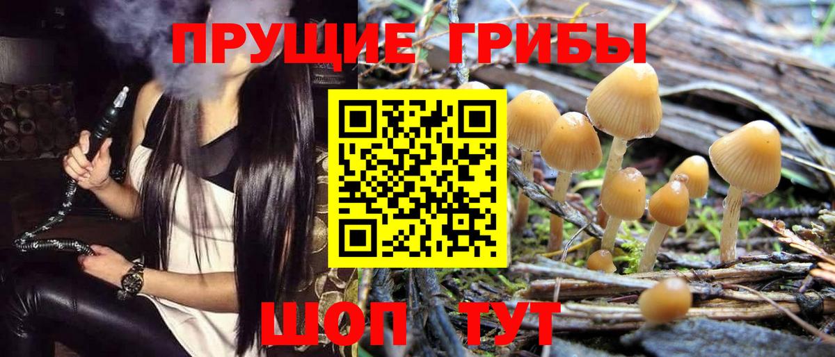 Псилоцибиновые грибы GOLDEN TEACHER  Вход с VPN  Луга 
